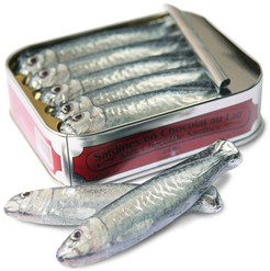 michel cluizel sardines